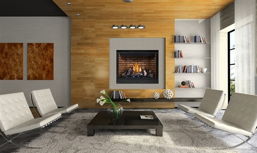 High Definition HD46 Direct Vent Gas Fireplace
