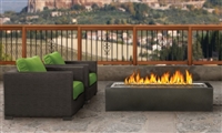 Linear Patioflame GPFL48MHP  Outdoor Fireplace