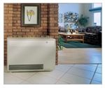 DV-55E 55,000  BTU High-Efficient (Direct Vent) Wall Furnace by Empire Heating Systems