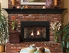 DVC20IN Innsbrook Traditional (Direct-Vent) Fireplace Insert by White Mountain