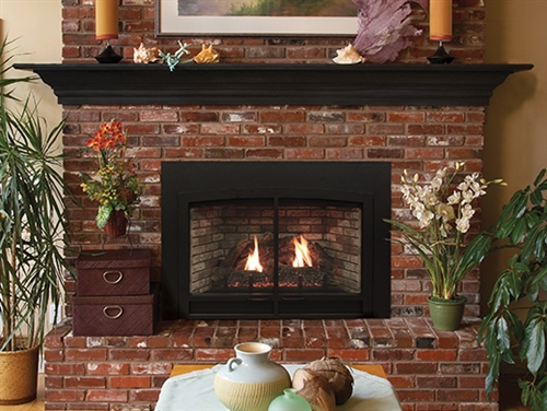 DVC20IN Innsbrook Traditional (Direct-Vent) Fireplace Insert by White Mountain